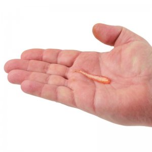 Berkley Smáček Powerbait Original Sangria