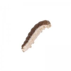 Vosí larva 2021 Berkley Powerbait Honey Worm 2,5cm - 55ks